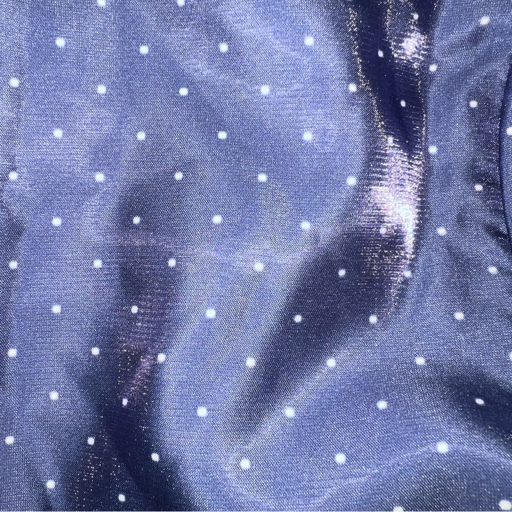 DANIELLE BERNSTEIN Blue Polka Dot Dress - Picture 6 of 7